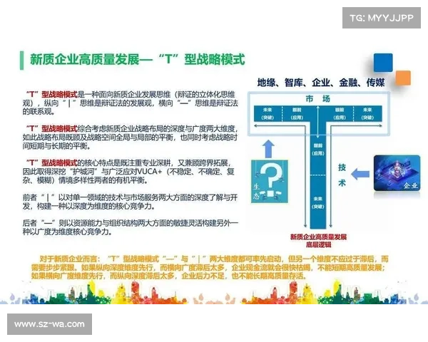 经济形势下企业发展的关键因素