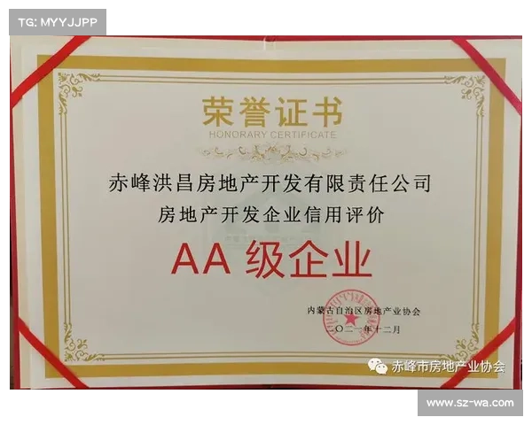 稳健发展地产企业奖项评选标准解析与实施细则探讨